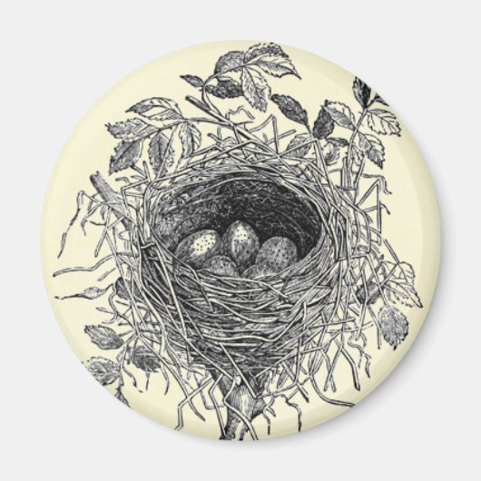  vogelnestillustratie magneet (Voorkant)