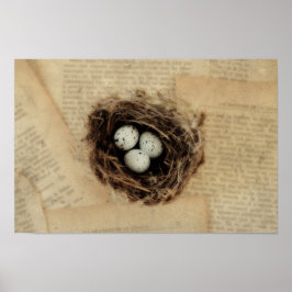 Vogelnestje met een moderne  ooster poster