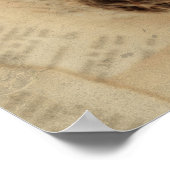 Vogelnestje met een moderne ooster poster (Hoek)