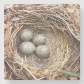 Vogelnestjes met gevlekte blauwe eieren Foto Stenen Onderzetter (Voorkant)