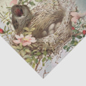  vogelnestmeisje Frans Script Decoupage Ti Tissuepapier (Detail)