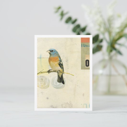 Vogelnr. 1 briefkaart (Staand voorkant)