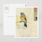 Vogelnr. 1 briefkaart (Voorkant / Achterkant)