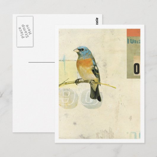 Vogelnr. 1 briefkaart (Voorkant / Achterkant)