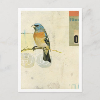 Vogelnr. 1 briefkaart