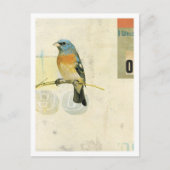 Vogelnr. 1 briefkaart (Voorkant)