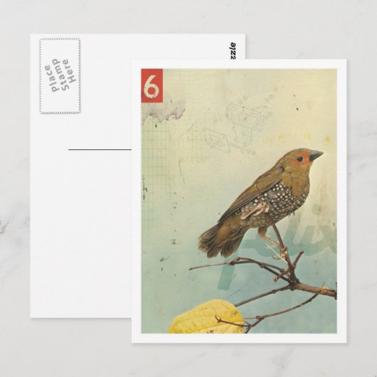 Vogelnr. 2 briefkaart (Voorkant / Achterkant)