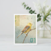 Vogelnr. 4 briefkaart (Staand voorkant)