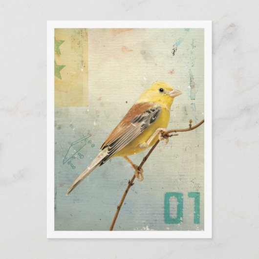 Vogelnr. 4 briefkaart (Voorkant)