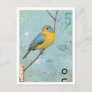 Vogelnr. 5 briefkaart