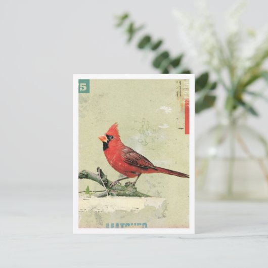 Vogelnr. 6 briefkaart (Staand voorkant)