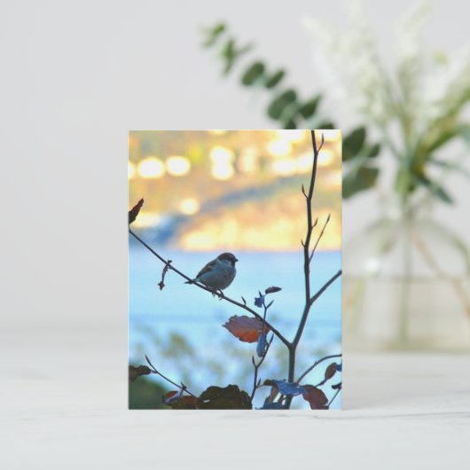 Vogelobservatie Briefkaart (Staand voorkant)