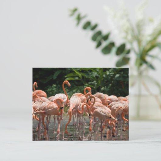 Vogelobservatie Briefkaart (Staand voorkant)