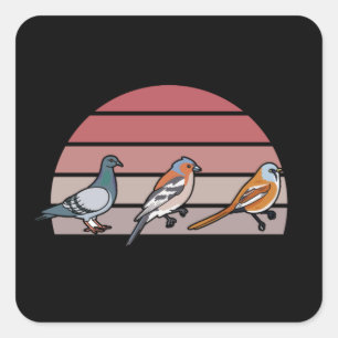 Vogelobservatie-Retro Vierkante Sticker