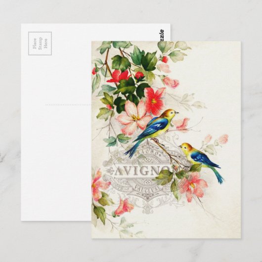  vogelontwerp briefkaart (Voorkant / Achterkant)