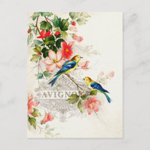  vogelontwerp briefkaart