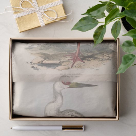 Vogelooievaar Ephemera Decoupage Tissuepapier (Geschenk)