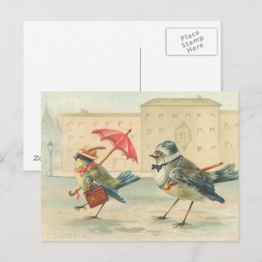  vogelpaar Briefkaart zo Schattige (Voorkant / Achterkant)