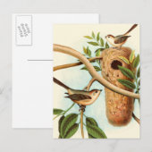 Vogelpaar op een nestveld op een tak briefkaart (Voorkant / Achterkant)