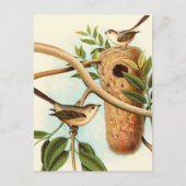 Vogelpaar op een nestveld op een tak briefkaart (Voorkant)