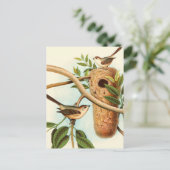 Vogelpaar op een nestveld op een tak briefkaart (Staand voorkant)