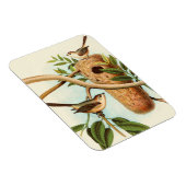 Vogelpaar op een nestveld op een tak magneet (Rechterzijde)