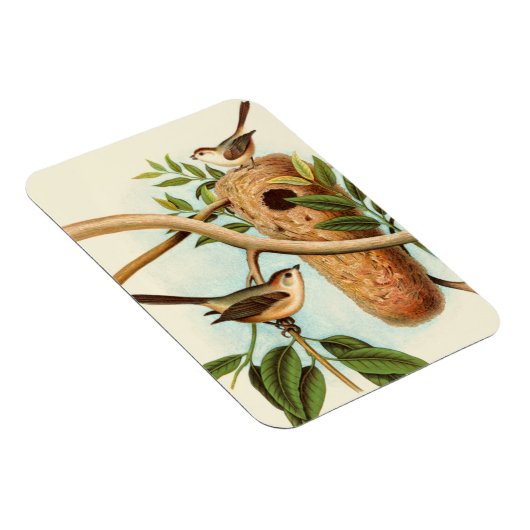 Vogelpaar op een nestveld op een tak magneet (Rechterzijde)