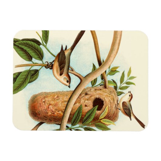 Vogelpaar op een nestveld op een tak magneet (Horizontaal)