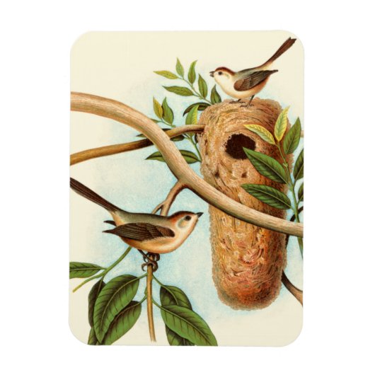 Vogelpaar op een nestveld op een tak magneet (Verticaal)