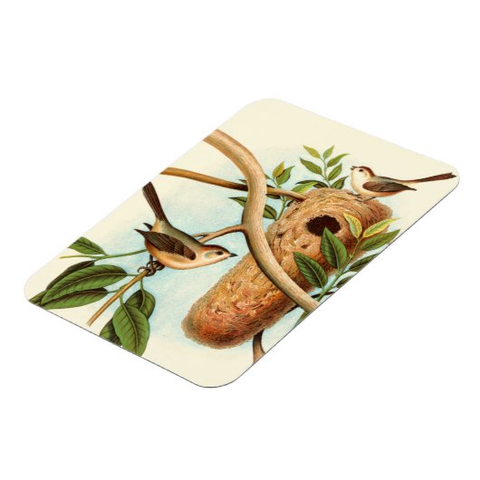 Vogelpaar op een nestveld op een tak magneet (Linkerzijde)