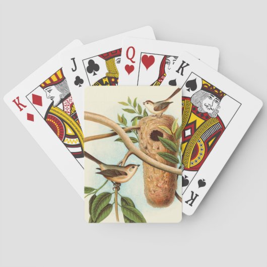 Vogelpaar op een nestveld op een tak pokerkaarten (Achterkant)
