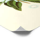 Vogelpaar op een nestveld op een tak poster (Hoek)