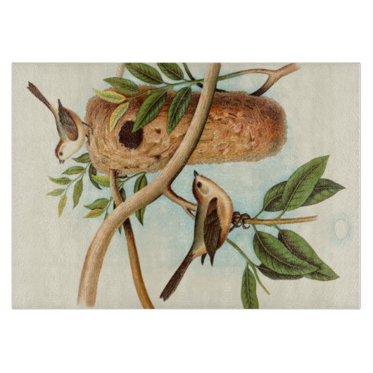 Vogelpaar op een nestveld op een tak snijplank (Voorkant)