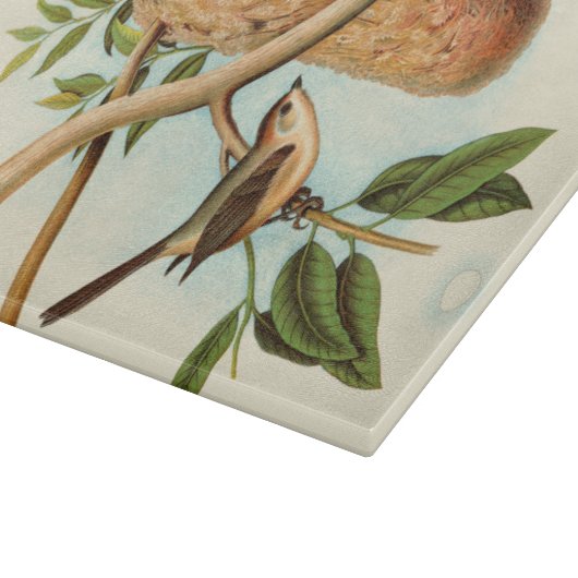 Vogelpaar op een nestveld op een tak snijplank (Hoek)