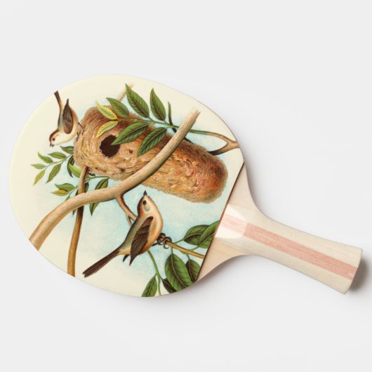 Vogelpaar op een nestveld op een tak tafeltennisbatje (Zijkant)