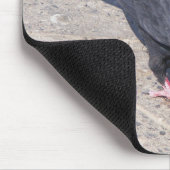 Vogelpap Muismat (Hoek)