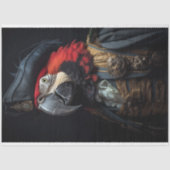 vogelpapegaai piraat decoupage tissuepapier (Voorkant)