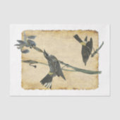 Vogelpapier 32 - Ontmantelingspagina Tissuepapier (Voorkant)