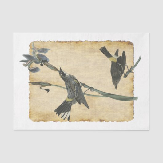 Vogelpapier 32 - Ontmantelingspagina Tissuepapier (Voorkant)