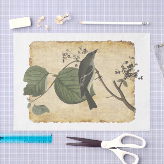 Vogelpapier 33 Ontkoppeling Tissuepapier (Craft)