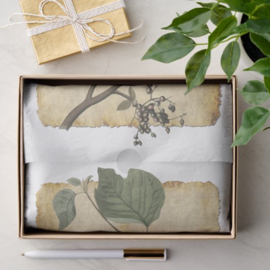 Vogelpapier 33 Ontkoppeling Tissuepapier (Geschenk)