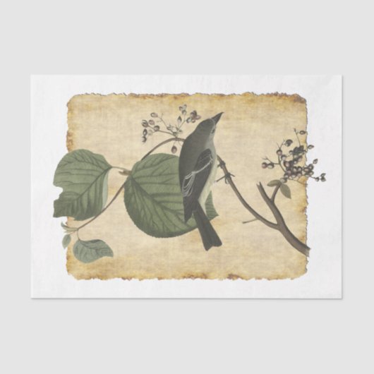 Vogelpapier 33 Ontkoppeling Tissuepapier (Voorkant)