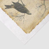 Vogelpapier 34 Ontkoppeling Tissuepapier (Detail)