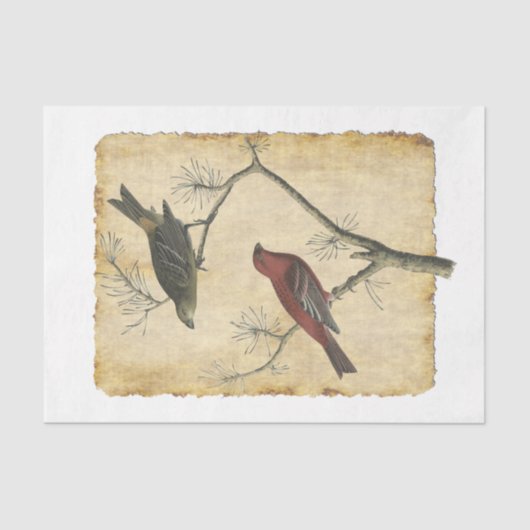 Vogelpapier 34 Ontkoppeling Tissuepapier (Voorkant)