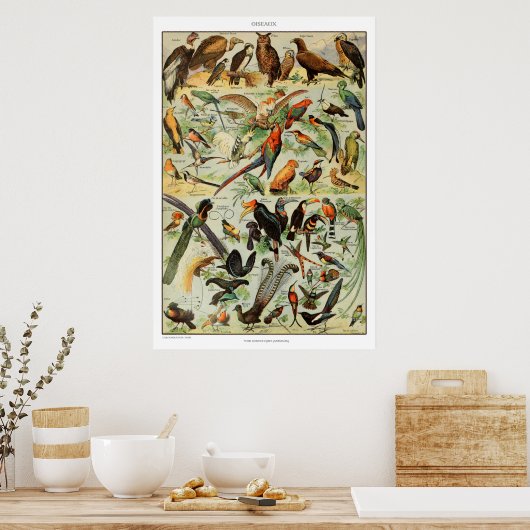  vogelpapier print Frans Poster (Keuken)
