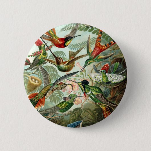 Vogelparadijskunst Ronde Button 5,7 Cm (Voorkant)