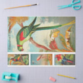 Vogelparkiet 2a  ontkoppeling Collectie Tissuepapier (Craft)