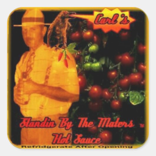 Vogelpeper die bij de materie staat vierkante sticker (Voorkant)