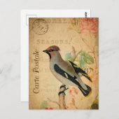  vogelpest Franse carte Postale Briefkaart (Voorkant / Achterkant)