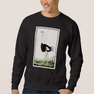 vogelpest in Ostrich Illustratie Ostrich L Trui
